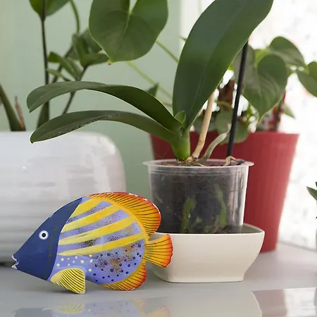 Piazza Vittorio 3* Trapani