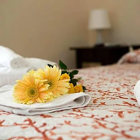 Piazza Vittorio Bed & Breakfast