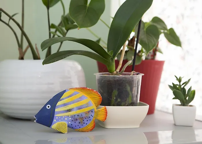 Piazza Vittorio 3* Trapani